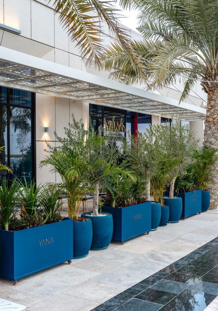 The palm-lined terrace entrance