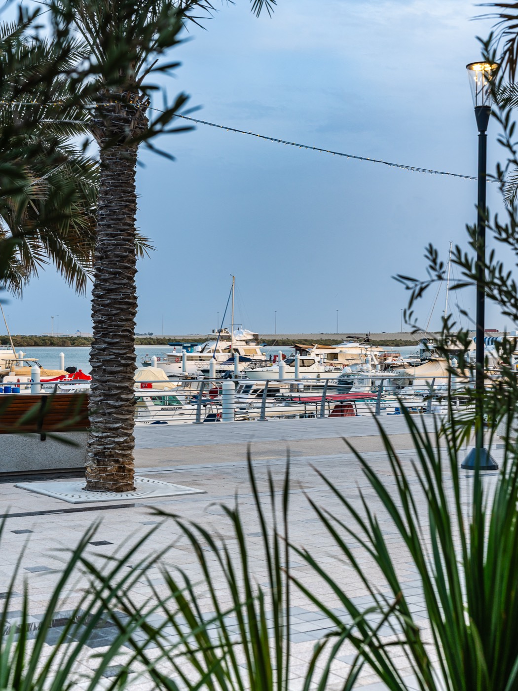 The marina view from the terrace