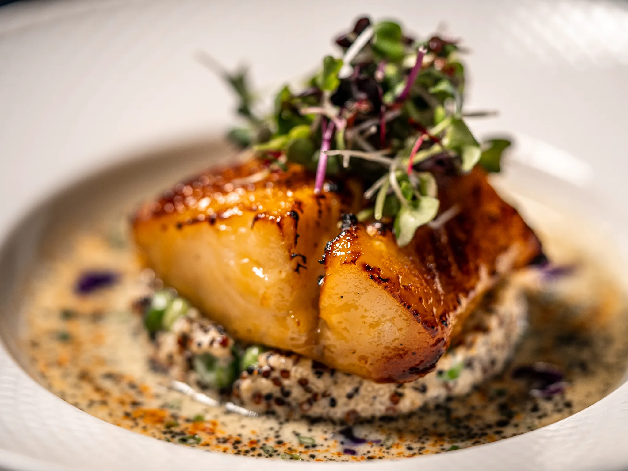 Miso Black Cod - Marinated black cod with quinoa-pea salad and orange cream.